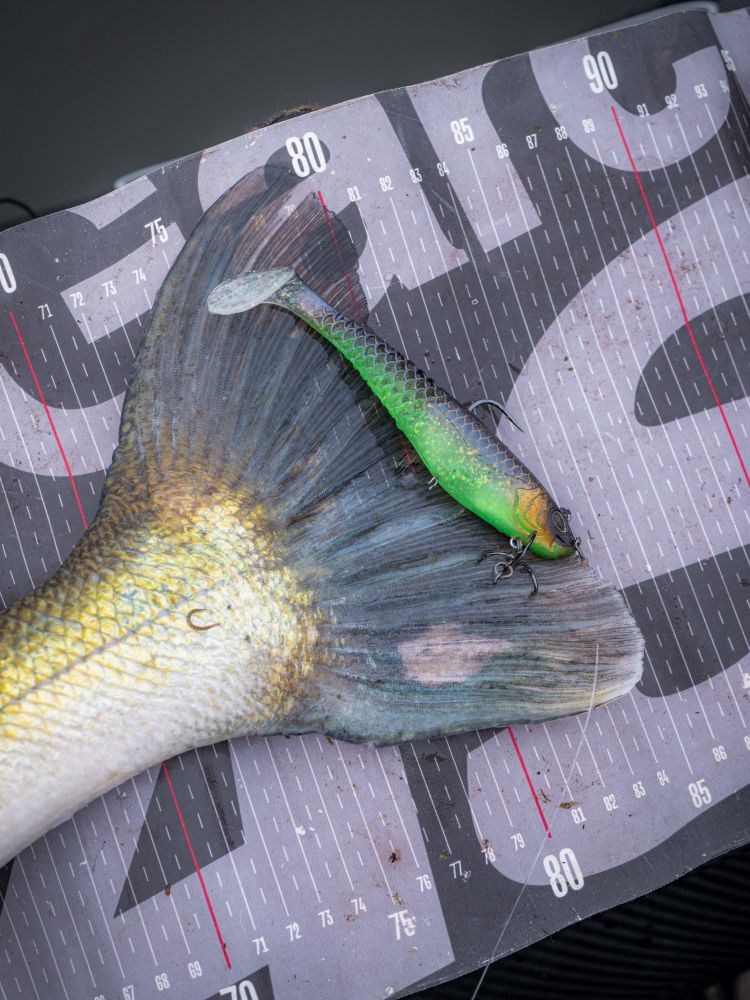 Berkley Gumová Nástraha PowerBait CullShad Deep Sinking Perch (4)